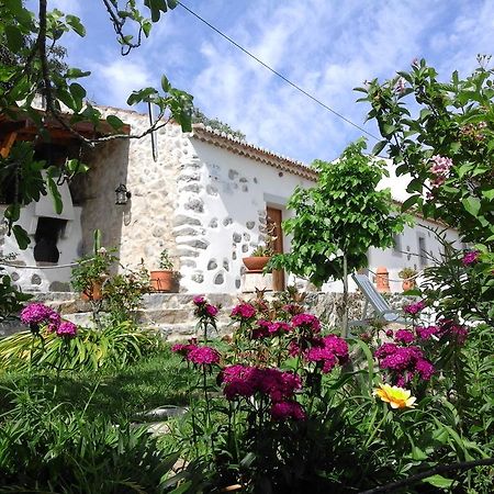 مونشيك Quinta Do Tempo Turismo Rural المظهر الخارجي الصورة
