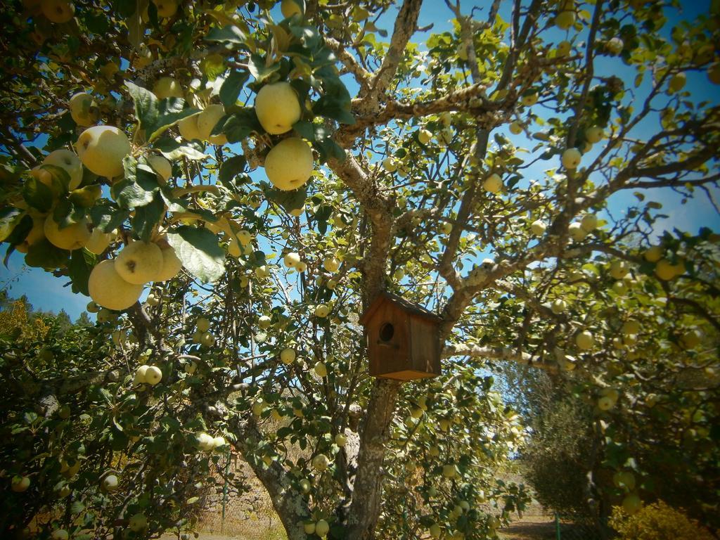 مونشيك Quinta Do Tempo Turismo Rural المظهر الخارجي الصورة
