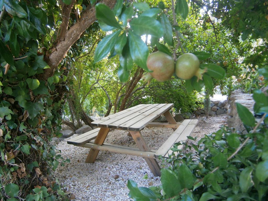 مونشيك Quinta Do Tempo Turismo Rural المظهر الخارجي الصورة