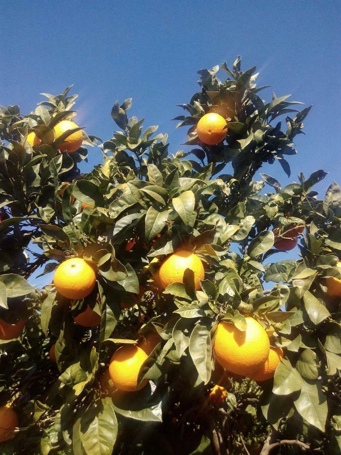 مونشيك Quinta Do Tempo Turismo Rural المظهر الخارجي الصورة