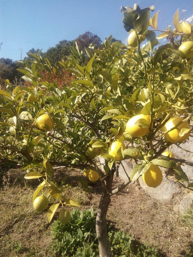 مونشيك Quinta Do Tempo Turismo Rural المظهر الخارجي الصورة